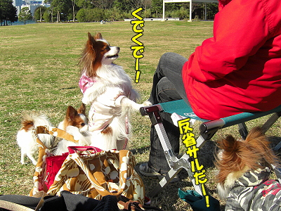 ¥×¥Á¥ª¥Õ²ñ«