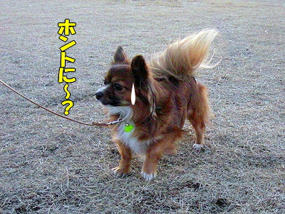 ��ä��ޤ��ʡ���