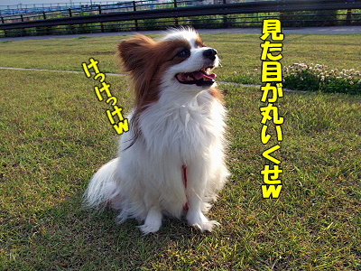 ÌԽ롦¡¦¡¦§