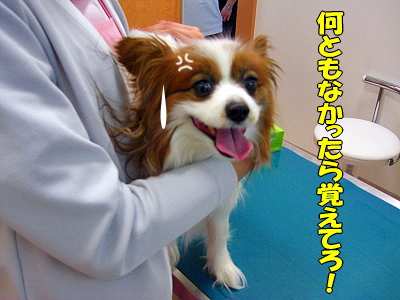 ¤ï¤º¤«¤Ê·ä´Ö¡¦¡¦¡¦§