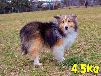 ¸«¤¿ÌÜ£÷£÷¥