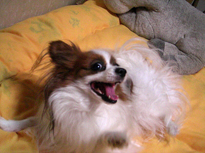 ���ޤ󤹤ޤ�