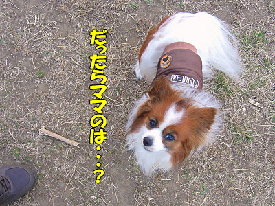 µÙºÜ¡©¤Î¤ªÃΤ餻¡¦¡¦¡¦orz«