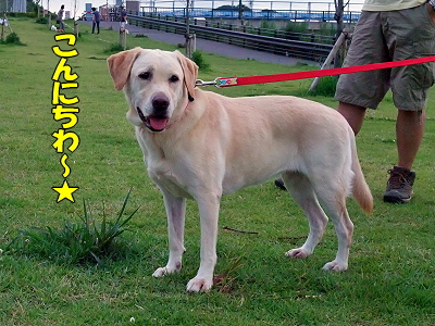 ½ë¤µ¤Ç¥Ü¥±¥Ü¥±¡¦¡¦¡¦¡¦£