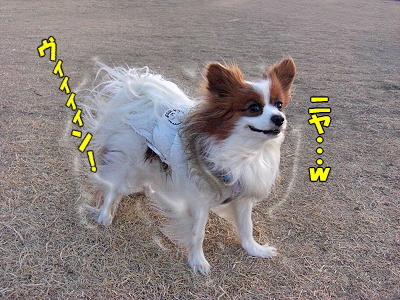 ¤Ê¤»¤Ð¤Ê¤ë¡ª¬