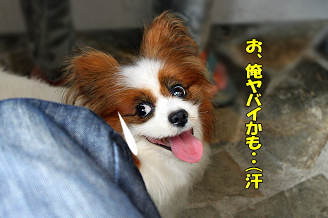 ³¡¦¤µ¤¤Ã¤Ä¤¡¤ó¥ª¥Õ¢ö°