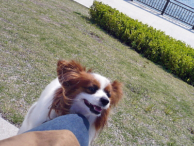���餳�顦��������orz