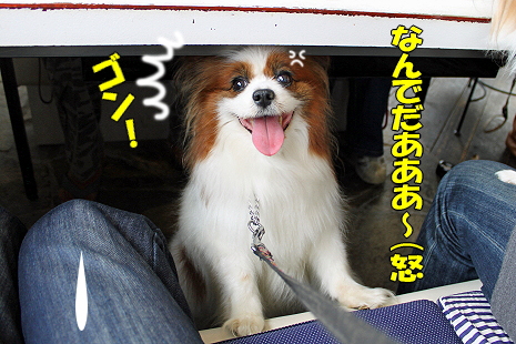 ³¡¦¤µ¤¤Ã¤Ä¤¡¤ó¥ª¥Õ¢ö§