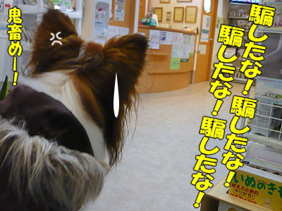 ¤¯¤Ä¤í¤²¤ë¾ì½ê¡¦¡¦¡¦¦