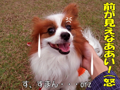 ��ǯ�⡦������