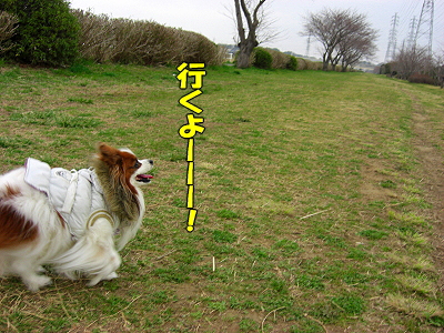 ¥¢¥¯¥·¥Ç¥ó¥È¡£¡£¥