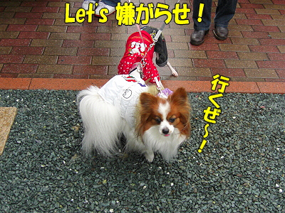 ÀŲ¬¤Ø¡¦¡¦¡¦¦
