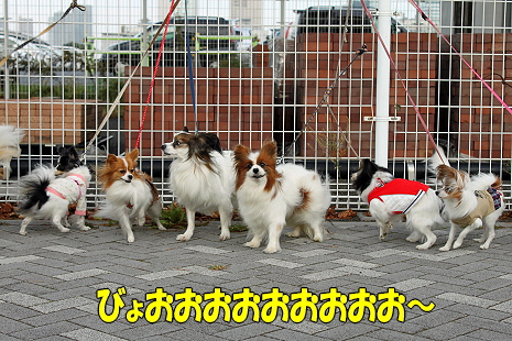 ³¡¹¡¦¤µ¤¤Ã¤Ä¤¡¤ó¥ª¥Õ¢ö±