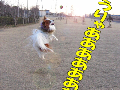 �ʤ��Фʤ롪��