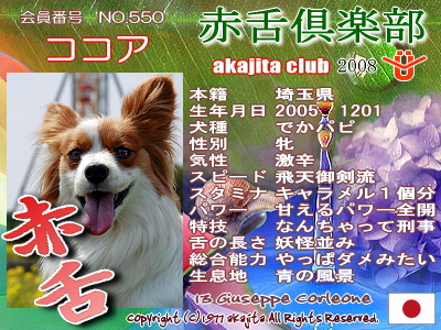 550-cocoa-2008june
