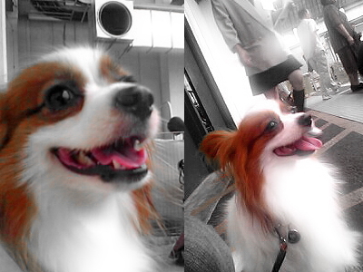 ºùºé¤¯¡¦¡¦¡¦¡¦¦