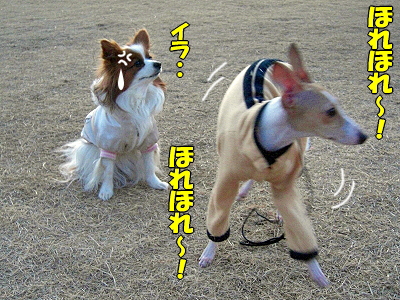 ��ä��ޤ��ʡ���