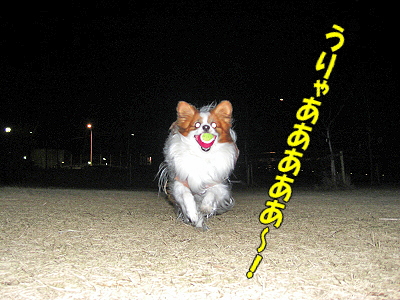 ËÌÉ÷¤ÎÃæ¯