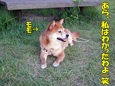 ���ĤΥ��饹�Ȥϡ���