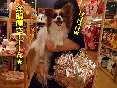 Happy Birthday HERMES��2008��