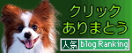 �֥�����󥭥󥰡�2009.06.01