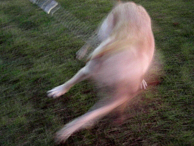 £Î£ÇÆÃ½¸¨