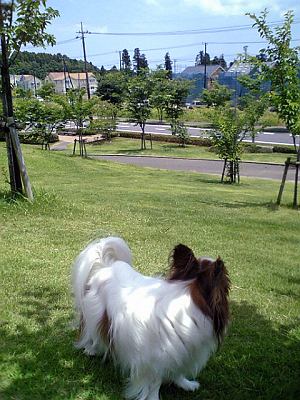 2007.06 ����