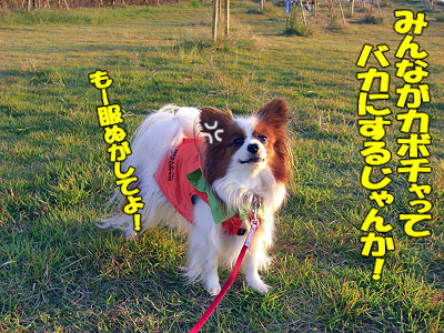 ���ܥ����粦��