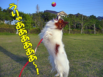 º¤¤Ã¤¿¤â¤ó¤À¡¦¡¦¡¦¡¦¡