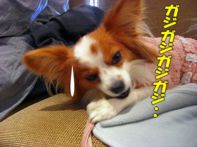 ¥ª¥Õ²ñ¤Ë¹Ô¤Ã¤Æ¤¤¿¤è¡ª¬