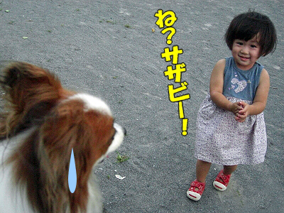 ���ƤΥ롼������
