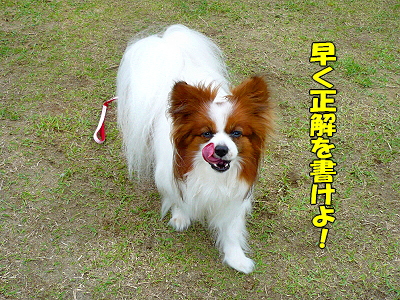 ��󥳤ο��ϡ���