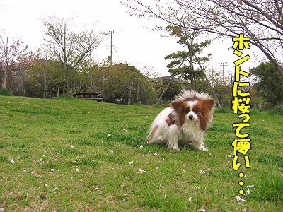 �����롦������