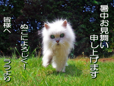 ¥é¥é¡¢¸µµ¤¤Ç¤¹¡ú©