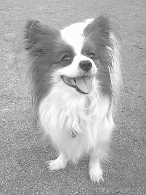 20070617