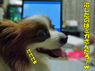 PCÉü³è¡¦¡¦¡¦¡¦¡ú¤