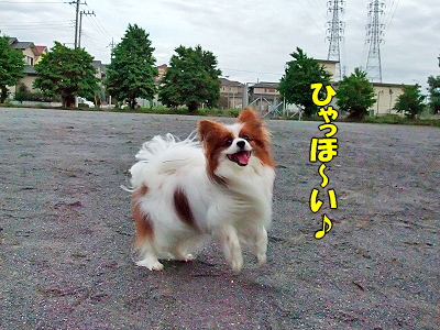 µ¤Ê¬²°¡¦¡¦¡¦¡¦¦