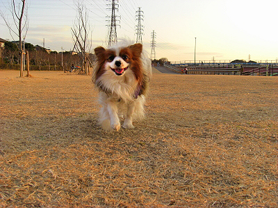 郎°ìÈÖ¡¦¡¦¡¦¡¦¡