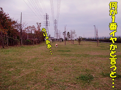 ��ǯ�⡦������