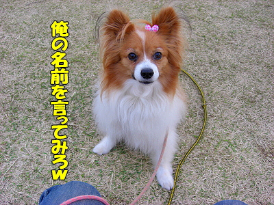 ��ͧ���롪��