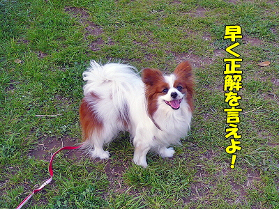 �����¿��������orz��
