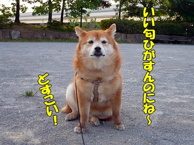 Áð¤ÎÃæ¤òÊ⤯¤È¡¦¡¦¡¦«