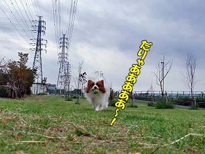 �ۤ�ޤ˰��������