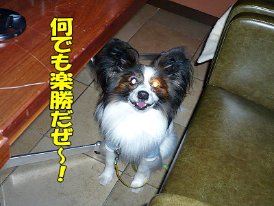 ͼ¿©²ñ¤