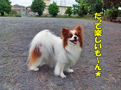 µ¤Ê¬²°¡¦¡¦¡¦¡¦§