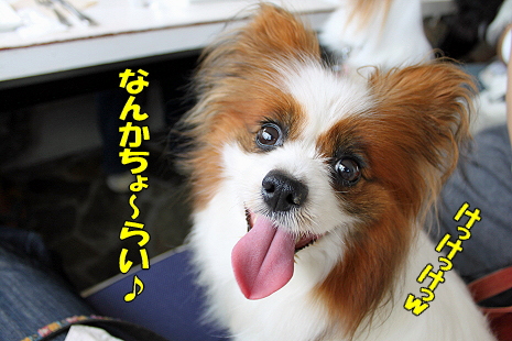 ³¡¦¤µ¤¤Ã¤Ä¤¡¤ó¥ª¥Õ¢ö©