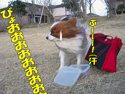 ¤Þ¤¿¤¿¤Ó¶¯É÷¡¦¡¦¡¦¡¦(¡¦¢Ï¡¦)ŽÉ§