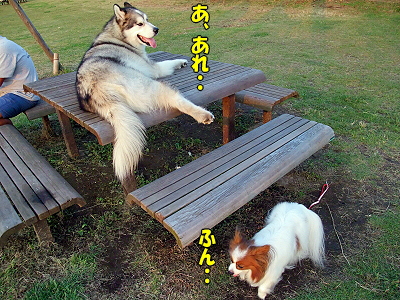 ���ơ���