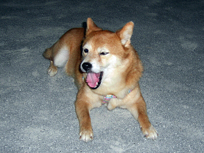 �Խ������뭥