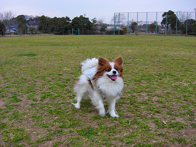 郎°ìÈÖ¡¦¡¦¡¦¡¦¢
